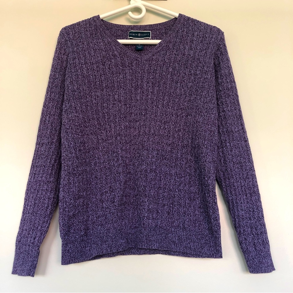 Karen Scott knit sweater